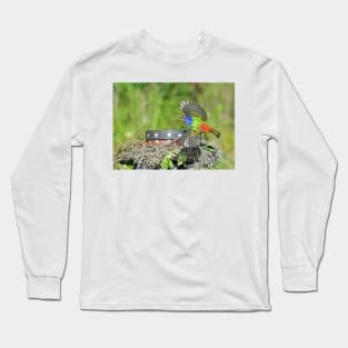 Painted Bunting Bird in Flight Long Sleeve T-Shirt